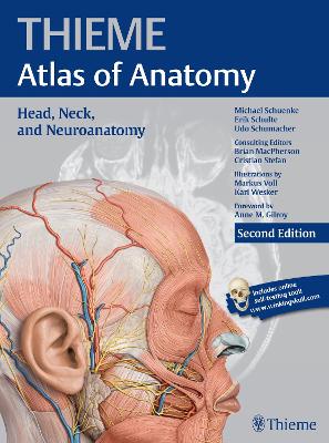 Head, Neck, and Neuroanatomy (THIEME Atlas of Anatomy) 2nd New edition