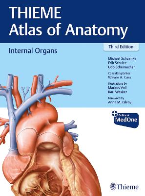 Internal Organs (THIEME Atlas of Anatomy) 3rd New edition