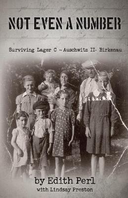 Not Even A Number: Surviving Lager C - Auschwitz II - Birkenau