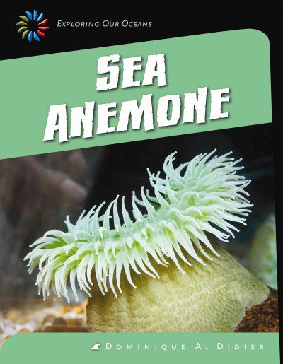 Sea Anemone