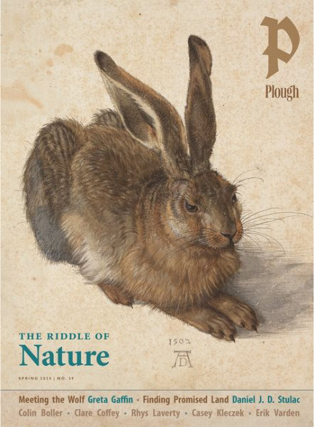Plough Quarterly No. 39  The Riddle of Nature: UK Edition International
