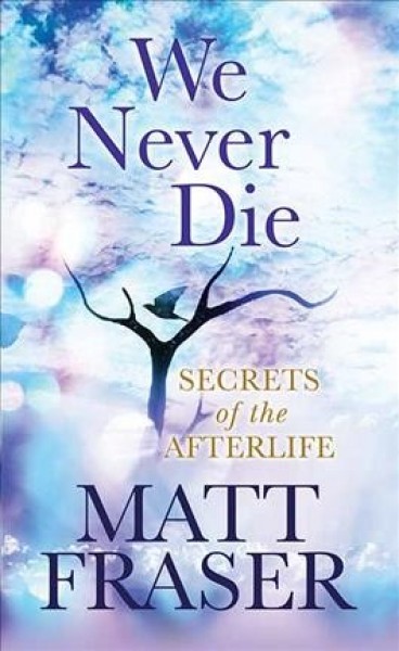 We Never Die: Secrets of the Afterlife Large type / large print edition