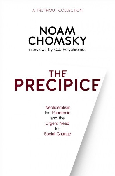 Precipice: Neoliberalism, the Pandemic and the Urgent Need for Social Change
