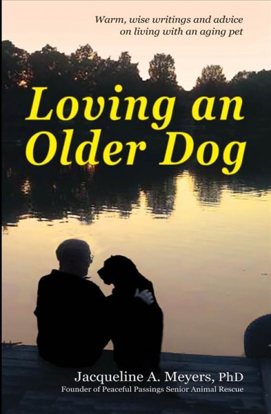 Loving an Older Dog