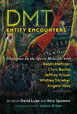 DMT Entity Encounters: Dialogues on the Spirit Molecule with Ralph Metzner, Chris Bache, Jeffrey Kripal, Whitley Strieber, Angela Voss, and Others