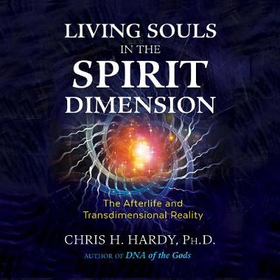 Living Souls in the Spirit Dimension: The Afterlife and Transdimensional Reality