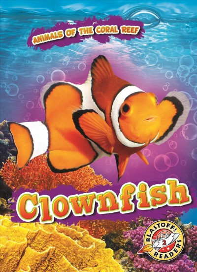 Clownfish