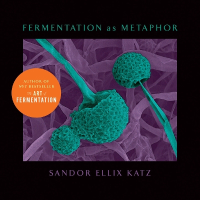 Fermentation as Metaphor: From the Author of the Bestselling The Art of Fermentation