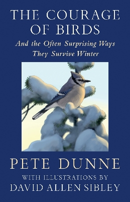 Courage of Birds: And the Often Surprising Ways They Survive Winter