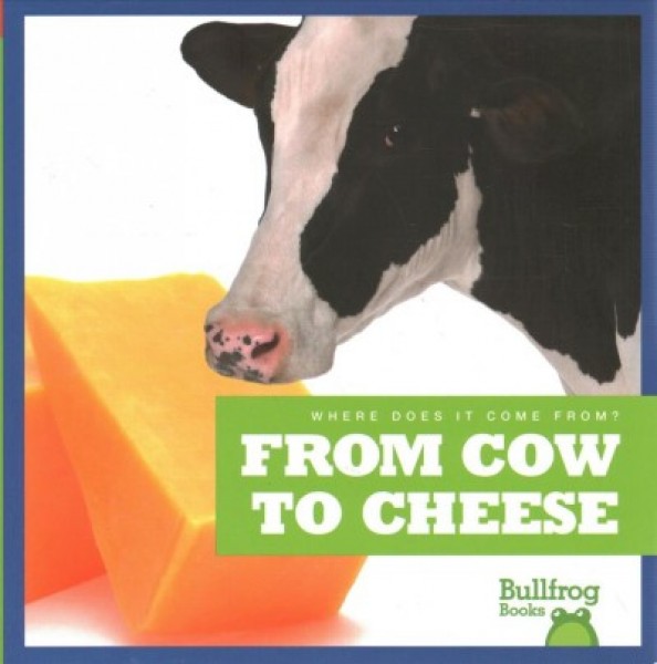 From Cow to Cheese