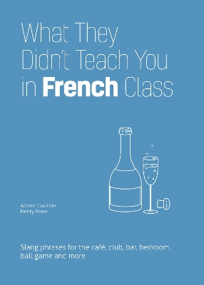 What They Didn't Teach You in French Class: Slang Phrases for the Cafe, Club, Bar, Bedroom, Ball Game and More