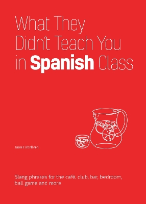 What They Didn't Teach You In Spanish Class: Slang Phrases for the Cafe, Club, Bar, Bedroom, Ball Game and More