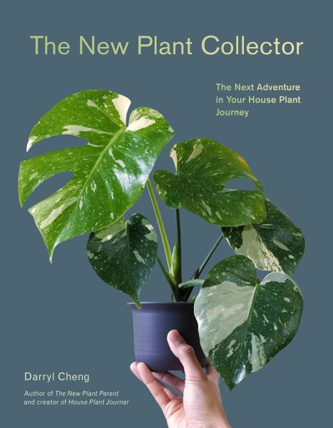 New Plant Collector: The Next Adventure in Your House Plant Journey