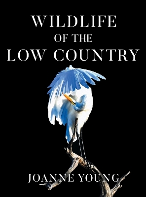 Wildlife of the Low Country Large type / large print edition