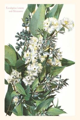 Vintage Journal Eucalyptus Blossoms