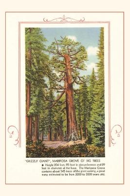 Vintage Journal Grizzly giant, Mariposa Big Trees