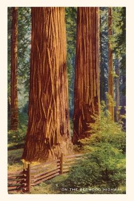 Vintage Journal Giant Redwoods