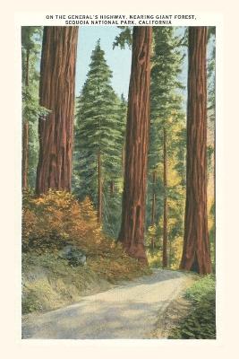 Vintage Journal Sequoia National Park