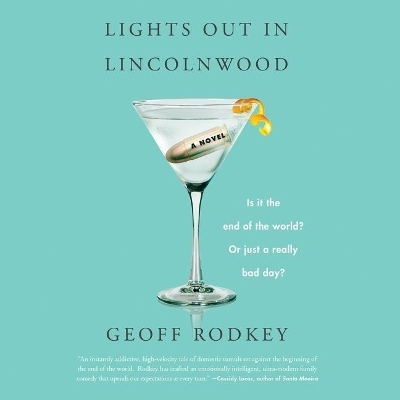 Lights Out in Lincolnwood