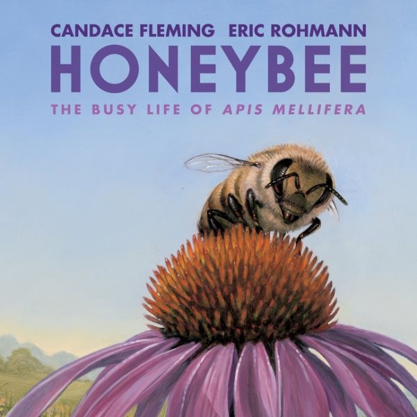 Honeybee: The Busy Life of APIs Mellifera Unabridged edition