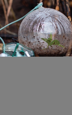 Ibero-American Ecocriticism: Cultural and Social Explorations