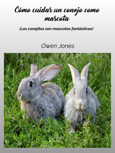 CÃ³mo cuidar un conejo como mascota: !Los conejitos son mascotas fantasticas!