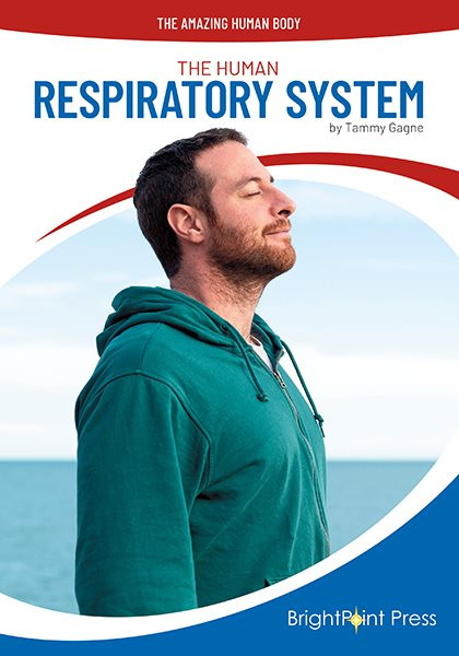 Human Respiratory System