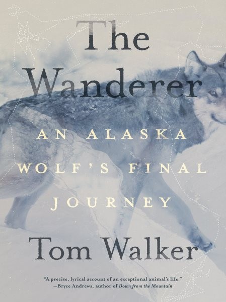 Wanderer: An Alaska Wolf's Final Journey