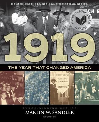 1919 the Year That Changed America