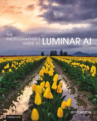 Photographer's Guide to Luminar AI