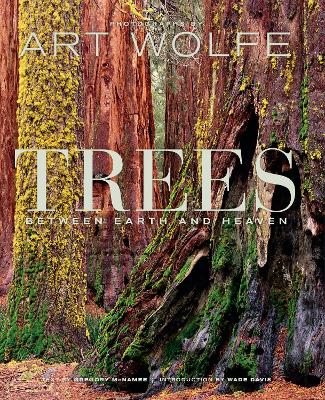 Trees: Between Heaven and Earth
