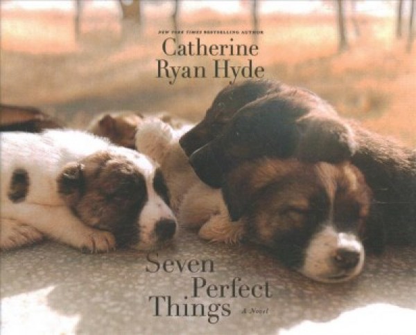 Seven Perfect Things Unabridged edition