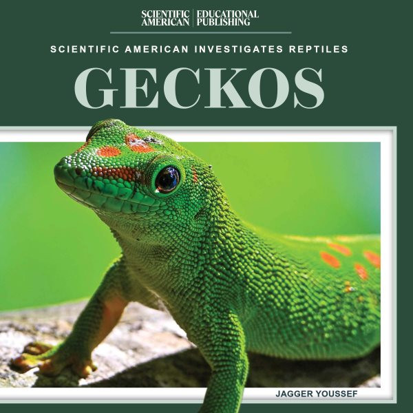 Geckos