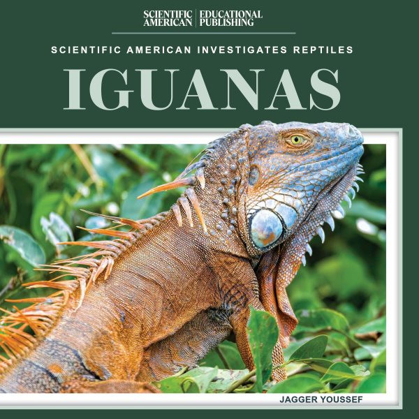 Iguanas