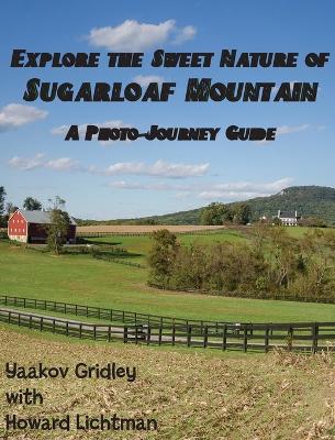 Explore the Sweet Nature of Sugarloaf Mountain: A Photo-Journey Guide