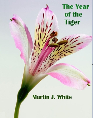 Year of the Tiger