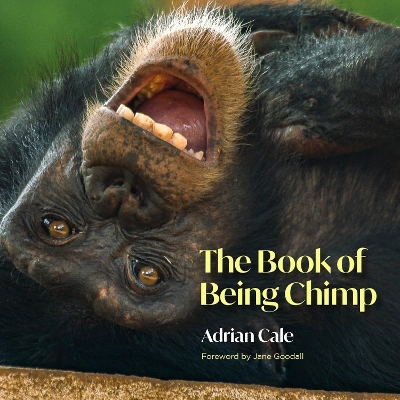 Book of Being Chimp