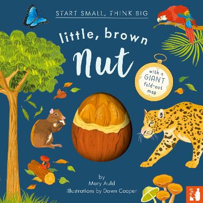 Little, Brown Nut: A fact-filled picture book about the life cycle of the Brazil nut tree, with  fold-out map of the Amazon rainforest (ages 4-8)