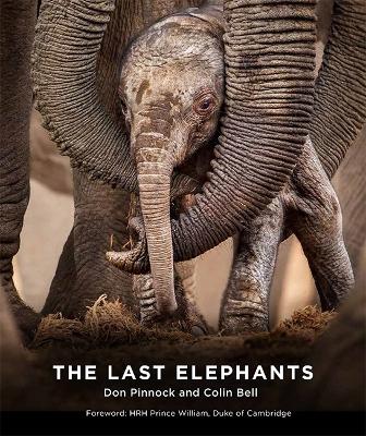 Last Elephants Flexibound