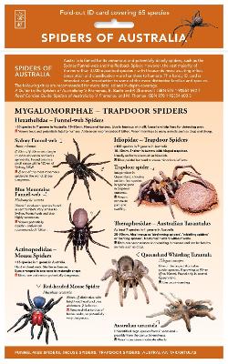 Spiders of Australia: Fold-out Id Chart Covering More Than 50 Key Spider Species and Families
