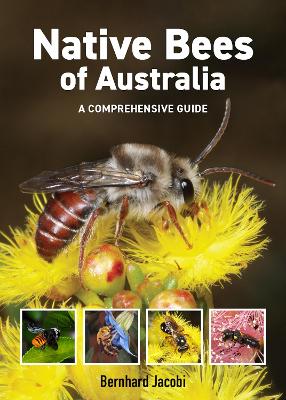 Native Bees of Australia: A comprehensive guide