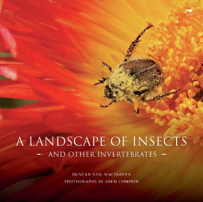 landscape of insects and other invertebrates