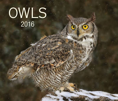 Owls 2016 Calendar 2016 ed.