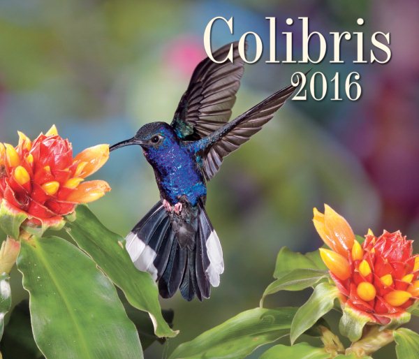 Colibris 2016