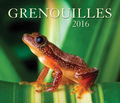 Grenouilles 2016