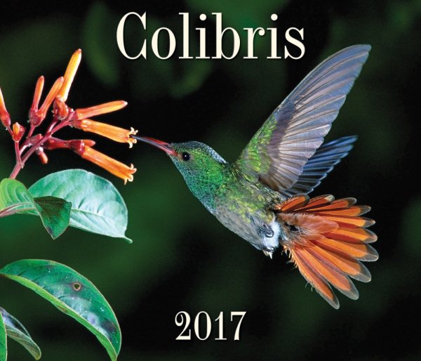 Colibris 2017