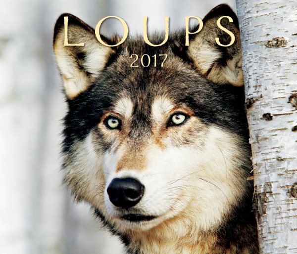 Loups 2017
