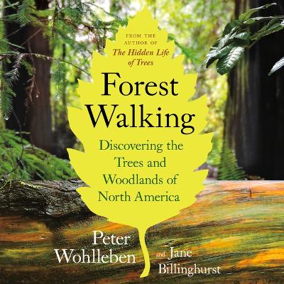 Forest Walking: Discovering the Trees and Woodlands of North America: Discovering the Trees and Woodlands of North America