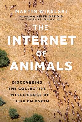 Internet of Animals: Discovering the Collective Intelligence of Life on Earth