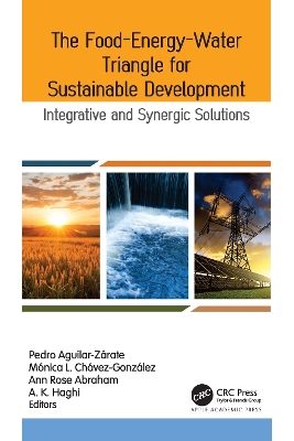 Food-Energy-Water Triangle for Sustainable Development: Integrative and Synergic Solutions